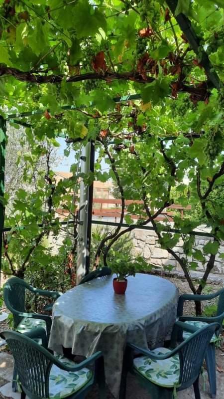 Apartman Katarina Cres Buitenkant foto